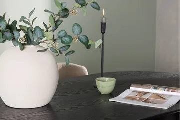 Isolde Matgrupp 180 cm Oval med 4 Modesto stolar - Beige - Products - Möbler - Bord & matgrupp - Matgrupp