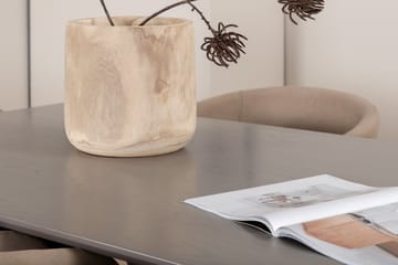 Piazza Matgrupp 180 cm Rektangulär med 6 Berit stolar - Beige - Products - Möbler - Bord & matgrupp - Matgrupp