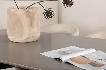 Piazza Matgrupp 180 cm Rektangulär med 6 Berit stolar - Beige - Products - Möbler - Bord & matgrupp - Matgrupp