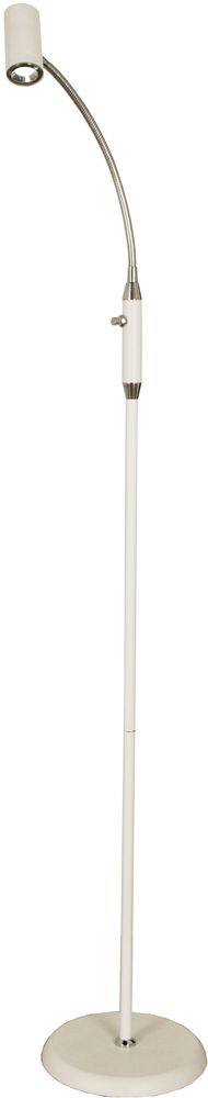 Gusto-lattiavalaisin - Valkoinen