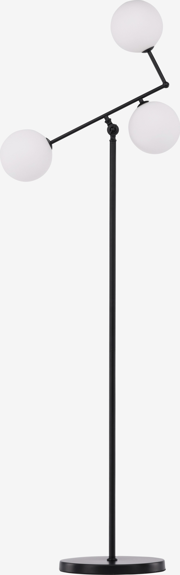 Marsan-lattiavalaisin - Musta/valkoinen Marsan-lattiavalaisin - Musta/valkoinen