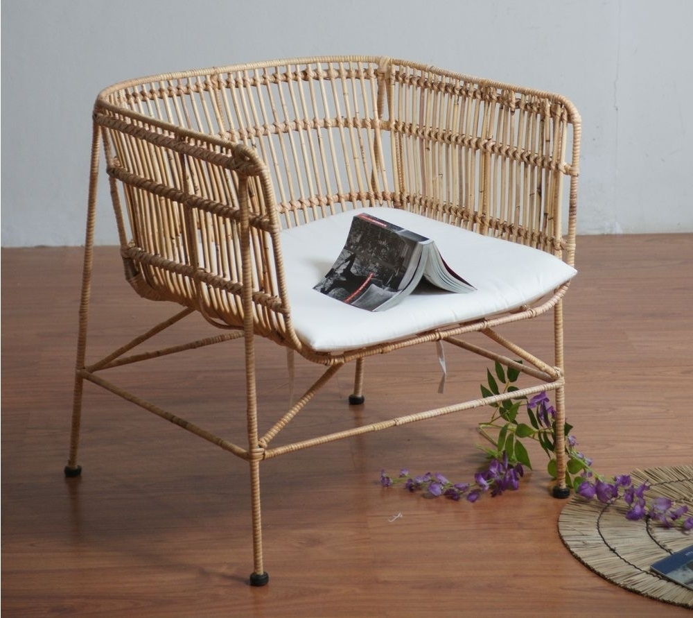 Galice-rottinki nojatuoli tyynyllä + Huonekalujen puhdistus Galice-rottinki nojatuoli tyynyllä + Huonekalujen puhdistus