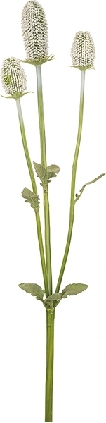 Ohdake keinotekoinen kasvi Ohdake keinotekoinen kasvi