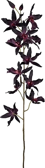 Oncidium keinotekoinen kasvi