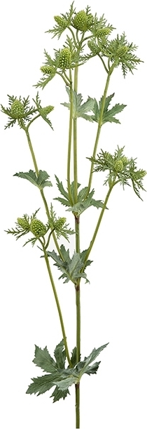 Ohdake keinotekoinen kasvi Ohdake keinotekoinen kasvi