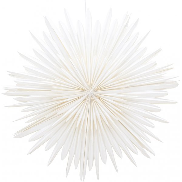 Seal Advent Star 100 cm - Valkoinen