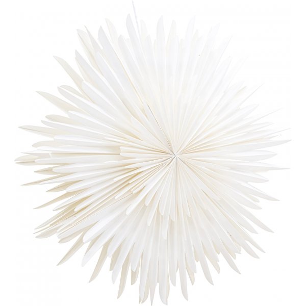 Seal Advent Star 100 cm - Valkoinen