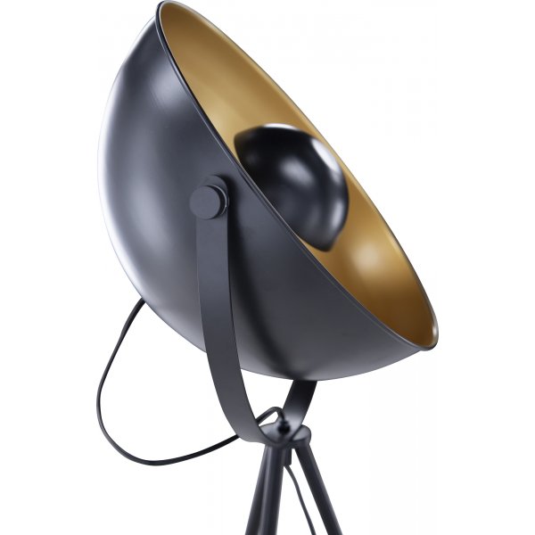 Iris-lattiavalaisin - musta Iris-lattiavalaisin - musta