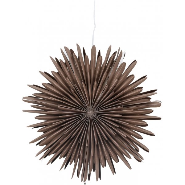 Seal Advent Star 46 cm - Greige