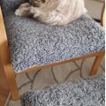 Asiakaskuva Svea-nojatuoli rahilla - Harmaa lampaannahka / öljytty tammi