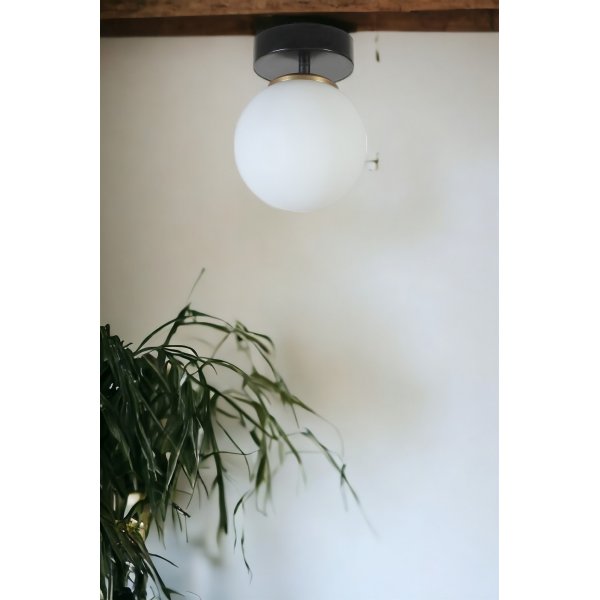 Danube kattovalaisin - Musta/valkoinen