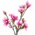 Magnoliapuun keinotekoinen kasvi - vaaleanpunainen