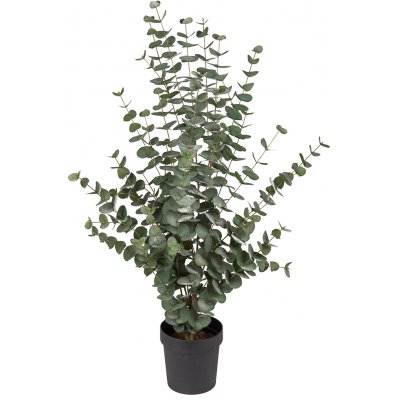 Eukalyptus keinotekoinen kasvi