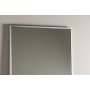 Orlando peili 55 x 195 cm - hopea