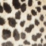 Leo-tyynynpllinen Leopard - 45 x 45 cm