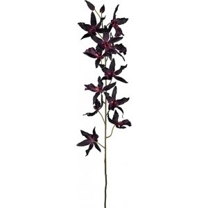 Oncidium keinotekoinen kasvi Oncidium keinotekoinen kasvi