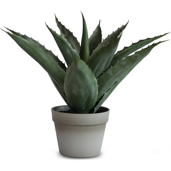 Keinokasvi - Aloevera harmaalla ruukulla 45 cm