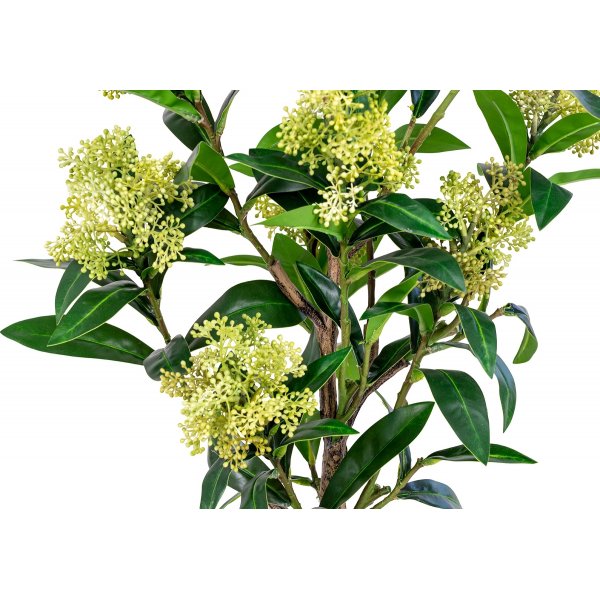 Skimmia-puun tekokasvi - Vihreä Skimmia-puun tekokasvi - Vihreä