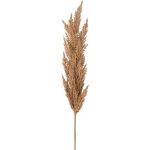 Pampas-ruoho tekonurmi Pampas-ruoho tekonurmi