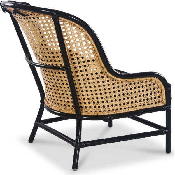 Anton musta nojatuoli rottinkia + Huonekalujen tahranpoistoaine