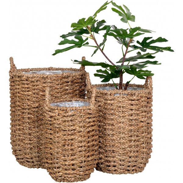 Hue krukaor - Merilev