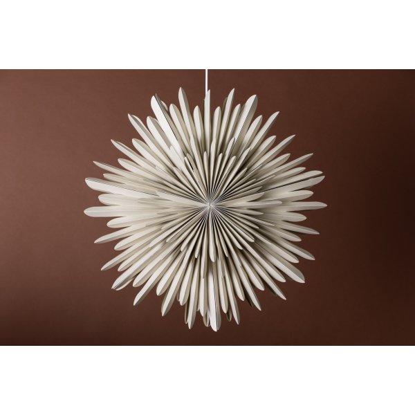 Seal Advent Star 60 cm - beige