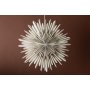 Seal Advent Star 60 cm - beige