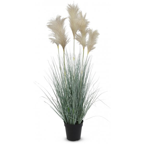 Keinokasvi - Ruoho/Pampas-ruoho k. 82 cm