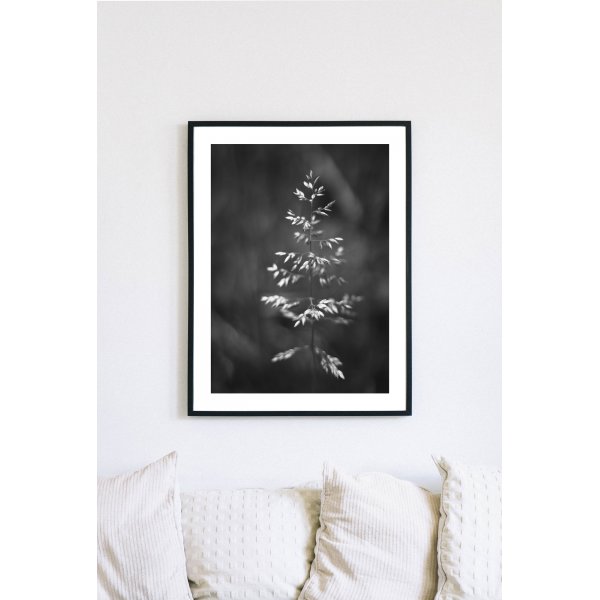 Posterworld - Motif Grass - 50 x 70 cm