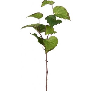 Rexbegonia keinotekoinen kasvi Rexbegonia keinotekoinen kasvi