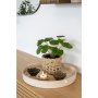 Keinotekoinen norsun korvakasvi - Korkeus: 28 cm - Vihre