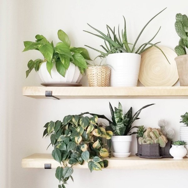 Lamba seinähylly 8 - Musta/tammi Lamba seinähylly 8 - Musta/tammi