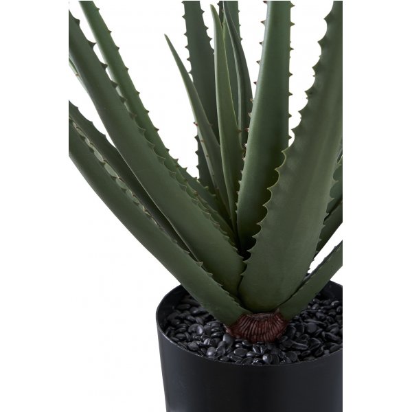 Aloe Vera keinokasvi - K: 51 cm - Vihre