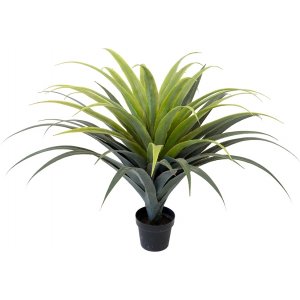 Agave keinotekoinen kasvi Agave keinotekoinen kasvi