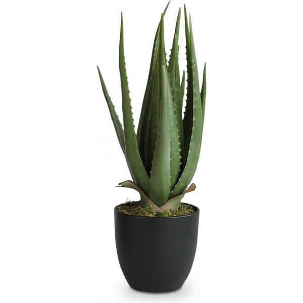 Keinokasvi - Verde Aloevera 47 cm