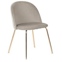 Giovani samettituoli - harmaa beige/messinki Giovani samettituoli - harmaa beige/messinki