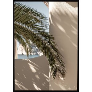 Juliste - Palmleaf