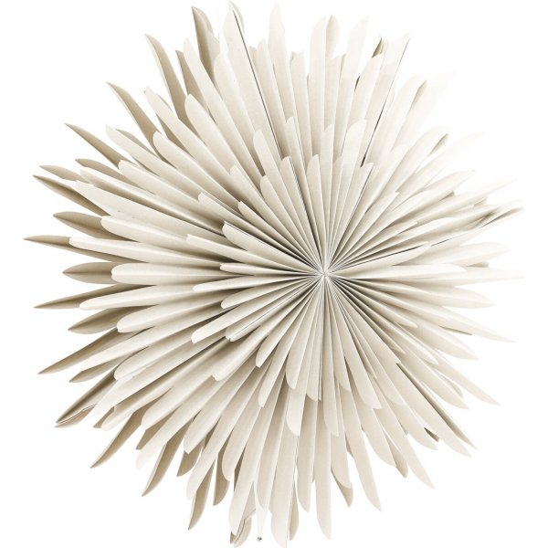 Seal Advent Star 60 cm - beige