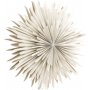 Seal Advent Star 60 cm - beige