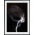 Posterworld - Motif Smoke - 50 x 70 cm