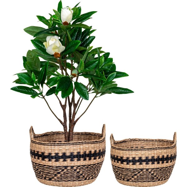 Teba korisetti - beige/musta