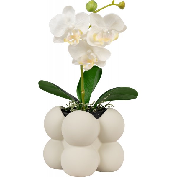 Roko potti Harmaa Roko potti Harmaa