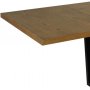 Baxter lpp 50 x 100 cm - Tammiviilu
