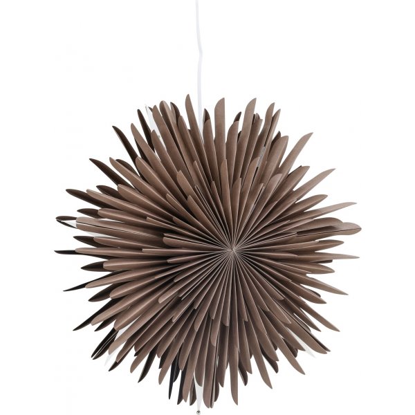 Seal Advent Star 46 cm - Greige