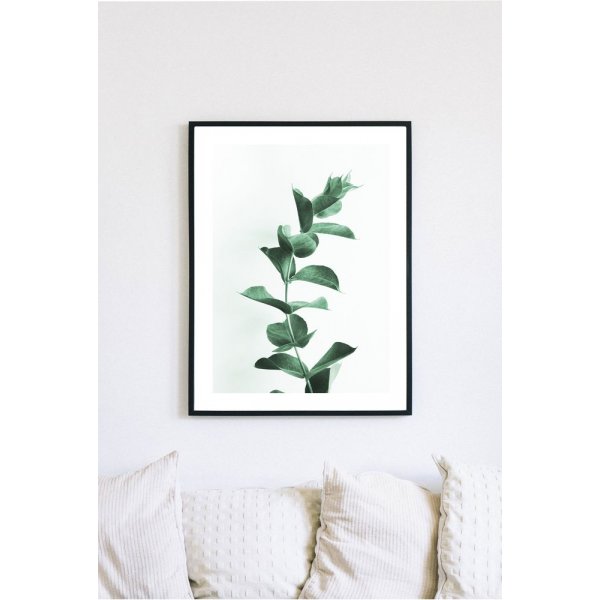 Posterworld - aihe Eucalyptus - 70x100 cm Posterworld - aihe Eucalyptus - 70x100 cm