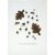 Acorn keittipyyhe 50 x 70 cm - Tumma nougat