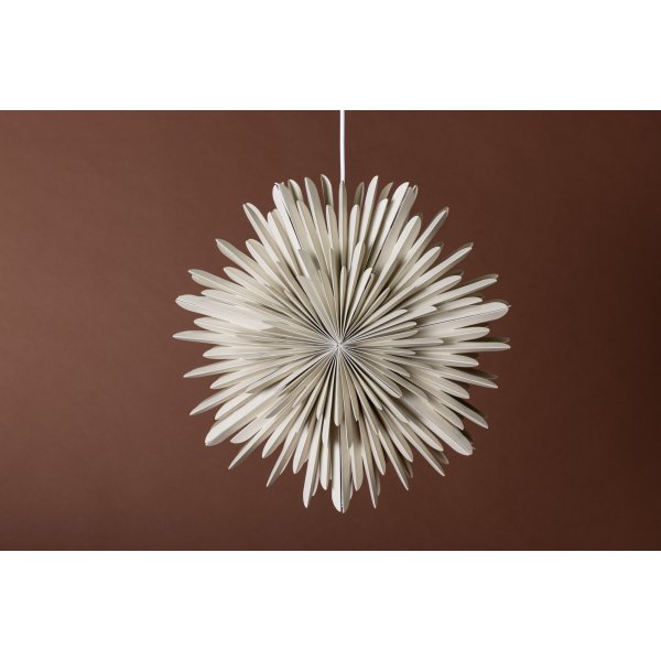 Seal Advent Star 46 cm - beige