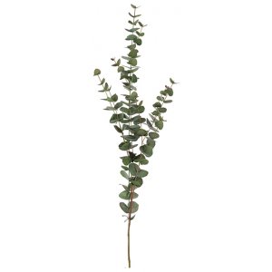Eukalyptus keinotekoinen kasvi